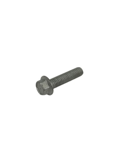 Tornillo 6,25 Rs Ch 8 (Beta)