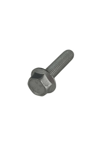 Tornillo 5X20 Llave 8Rs RR-4T (Beta)