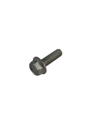 Tornillo 5x16 Llave 8RS RR-4T (Beta)
