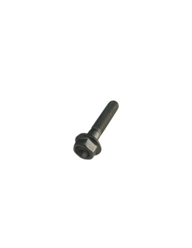 Tornillo 5 X 25 Rs Ch 8 (Beta)