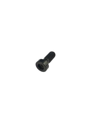 Tornillo 10X25 RR-4T (Beta)