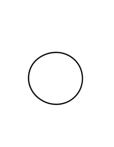 Torica Or 78.2 Viton (Beta)