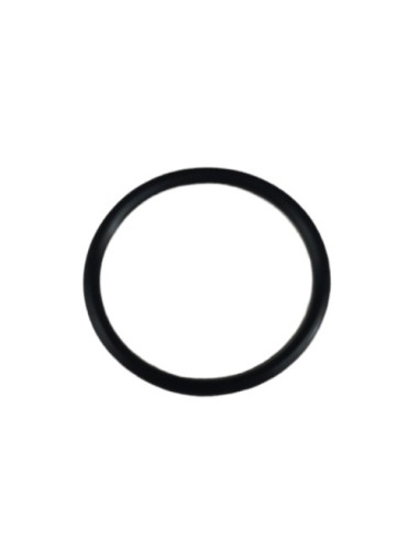 Torica Or 24.2 Nbr70 (Beta)