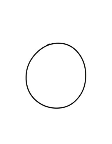 Torica Or 105.2 Viton (Beta)