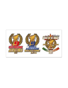 Rider Sticker Beta 2023 - Kit (Beta)