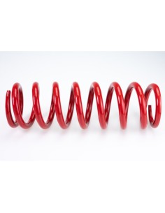 Muelle Amortiguador Kyb 46Mm 260Mm 50N Cuello Rojo (Beta)