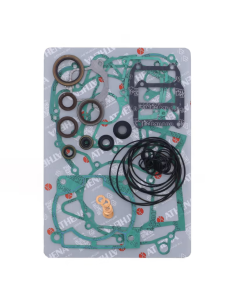 Kit Juntas Motor Completo + Retenes Athena Beta 250/300... 2