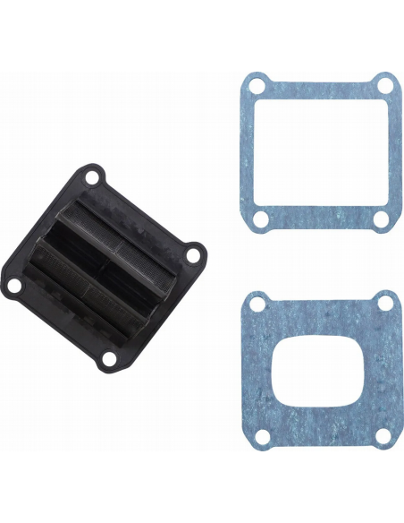 Caja de Láminas V-Force 4 R Versión H Beta RR 125/200 2020-2024 + KTM/Husqvarna 2020-2023 + GasGas 2021-2024