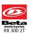 RX 300 2T