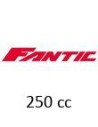 250