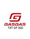 TXT GP 300