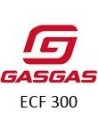 ECF 300