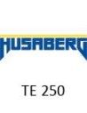 TE 250