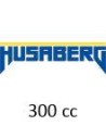 300