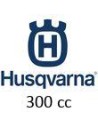 300