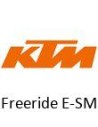 Freeride E-SM