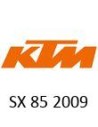 2009