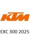 2025