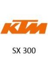 SX 300