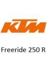 Freeride 250 R