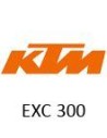 EXC 300