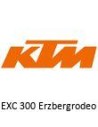 EXC 300 Erzbergrodeo