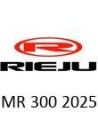 2025