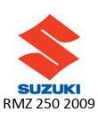 2009