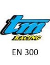EN 300