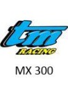 MX 300