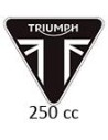 250